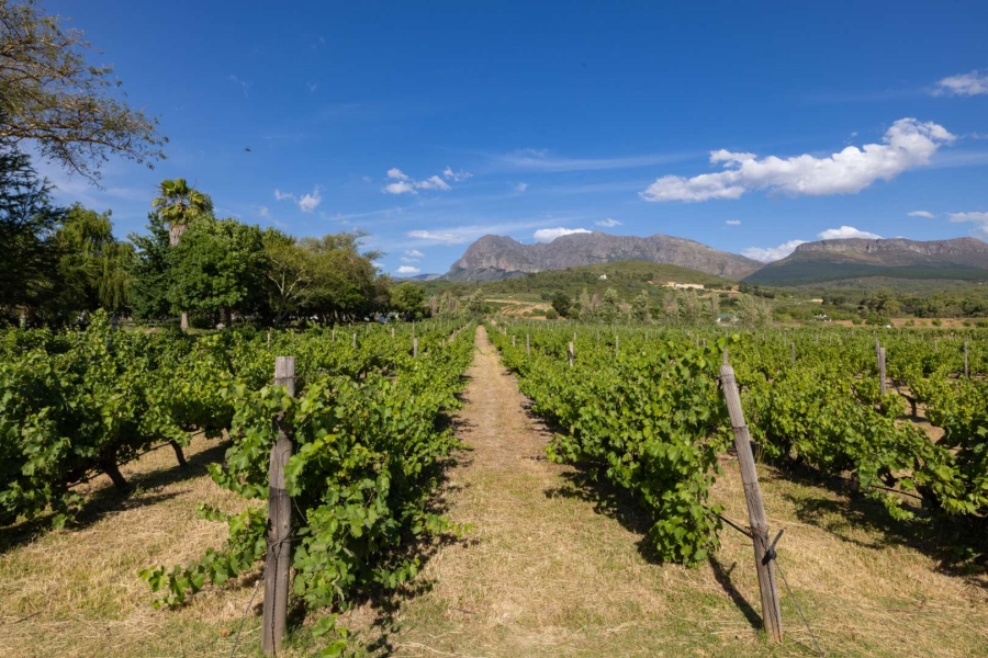 6 Bedroom Property for Sale in Klein Parys Western Cape